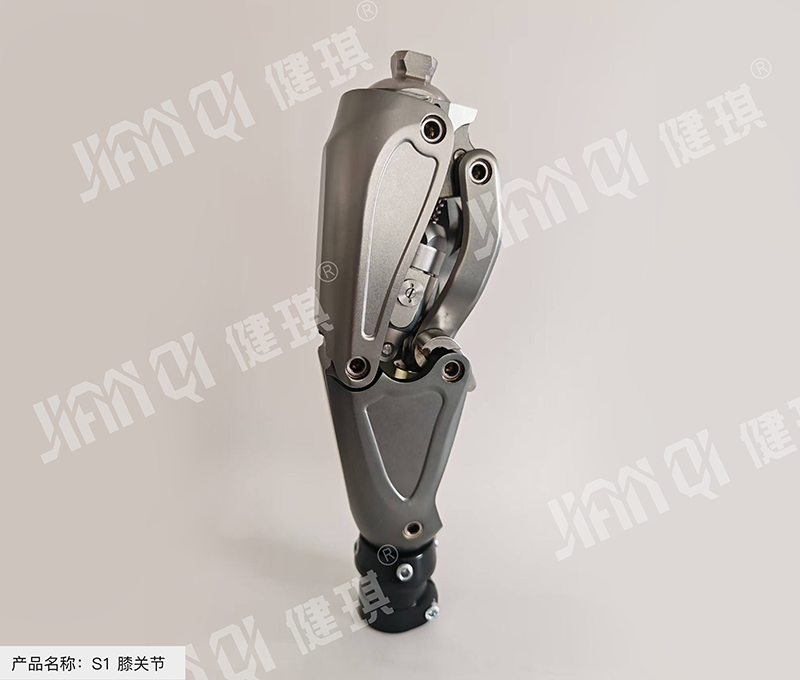 S1 膝关节